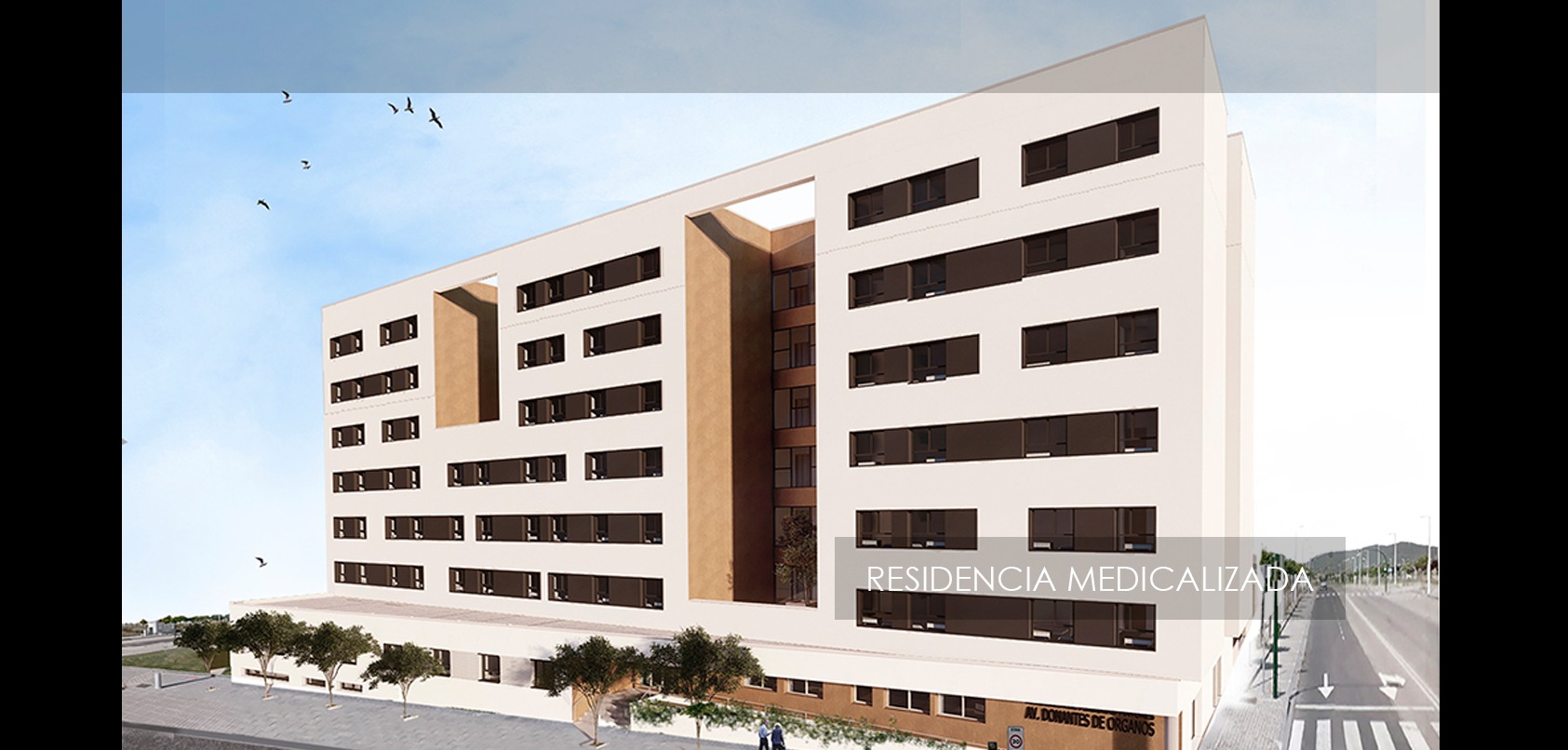 Residencia Medicalizada